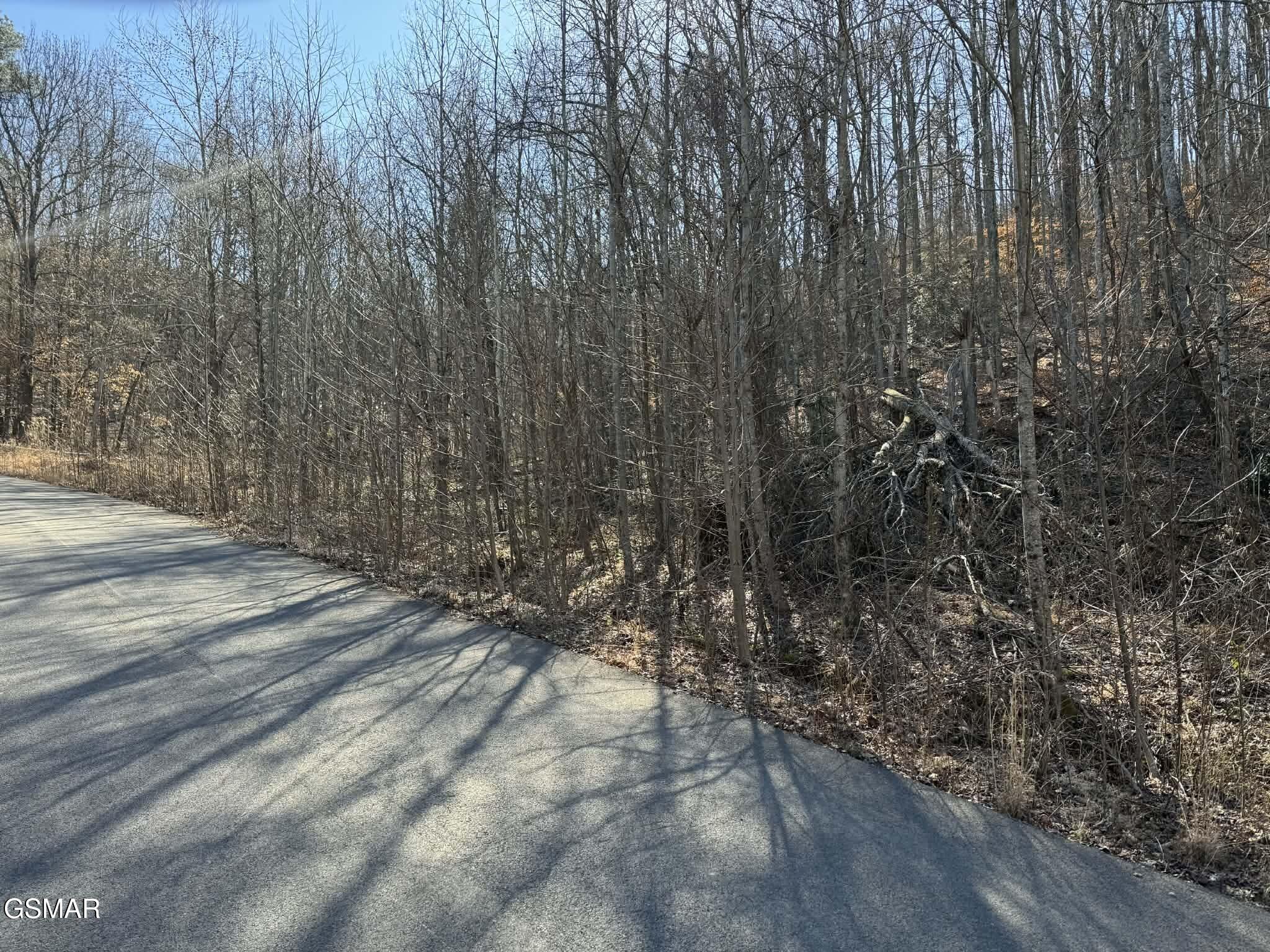 Lot 27 Blue Springs Way Newport TN 37821