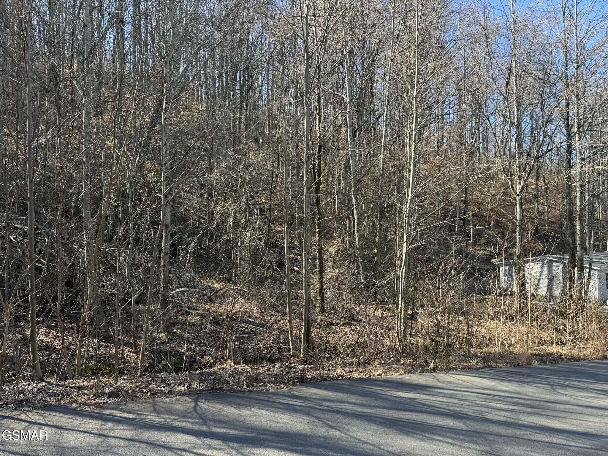 Lot 27 Blue Springs Way Newport TN 37821