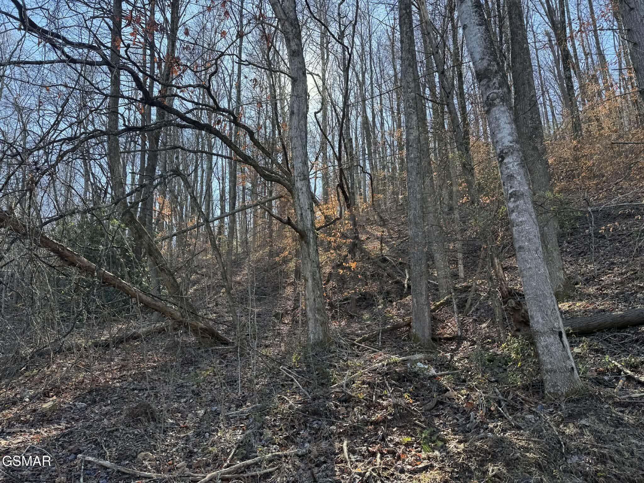 Lot 27 Blue Springs Way Newport TN 37821