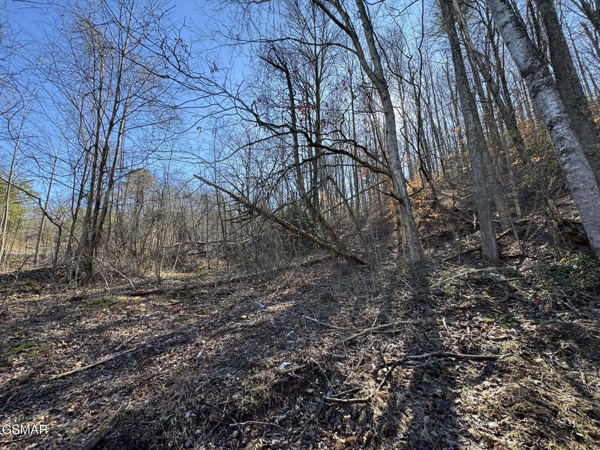 Lot 27 Blue Springs Way Newport TN 37821
