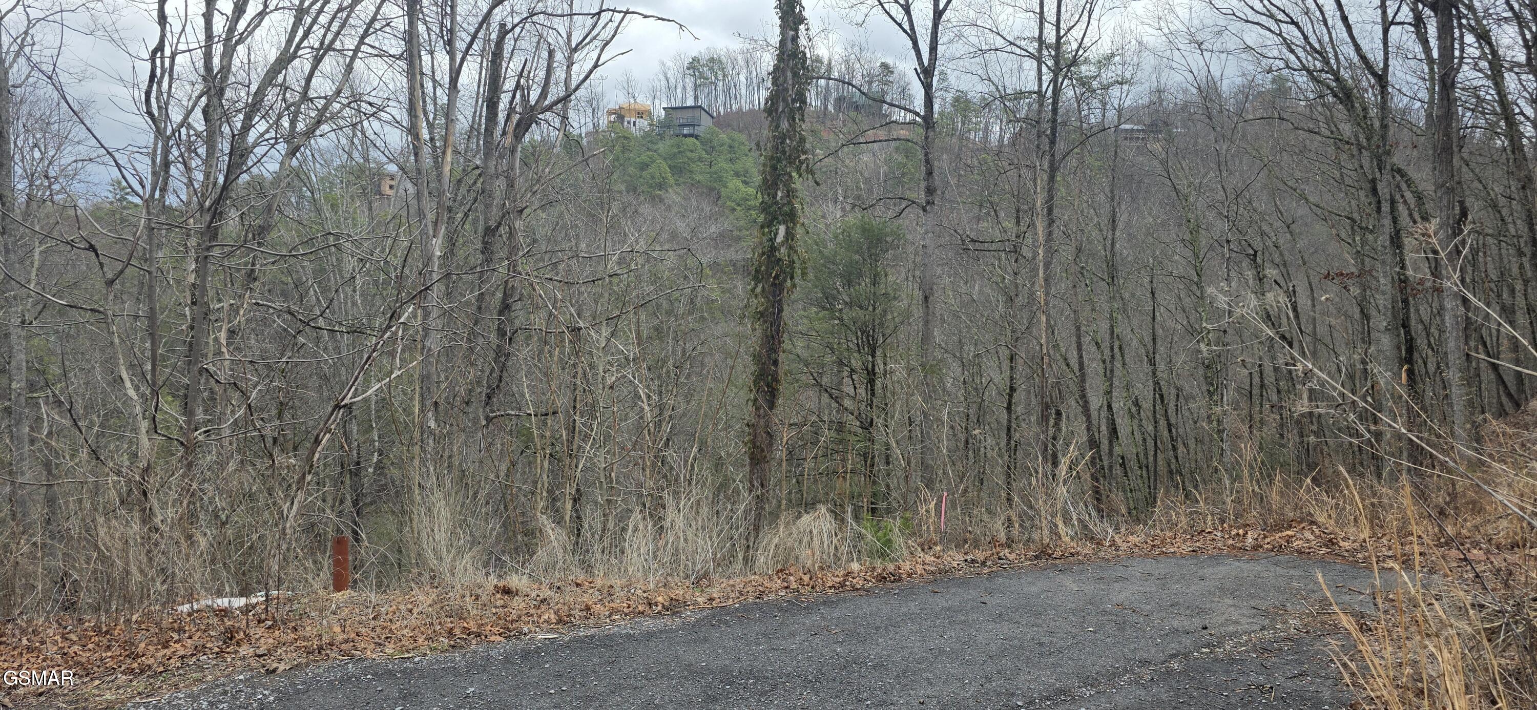 3278 Emerald Springs Loop Sevierville TN 37862