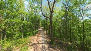 197 Eagle View Lane Jacksboro TN 37757