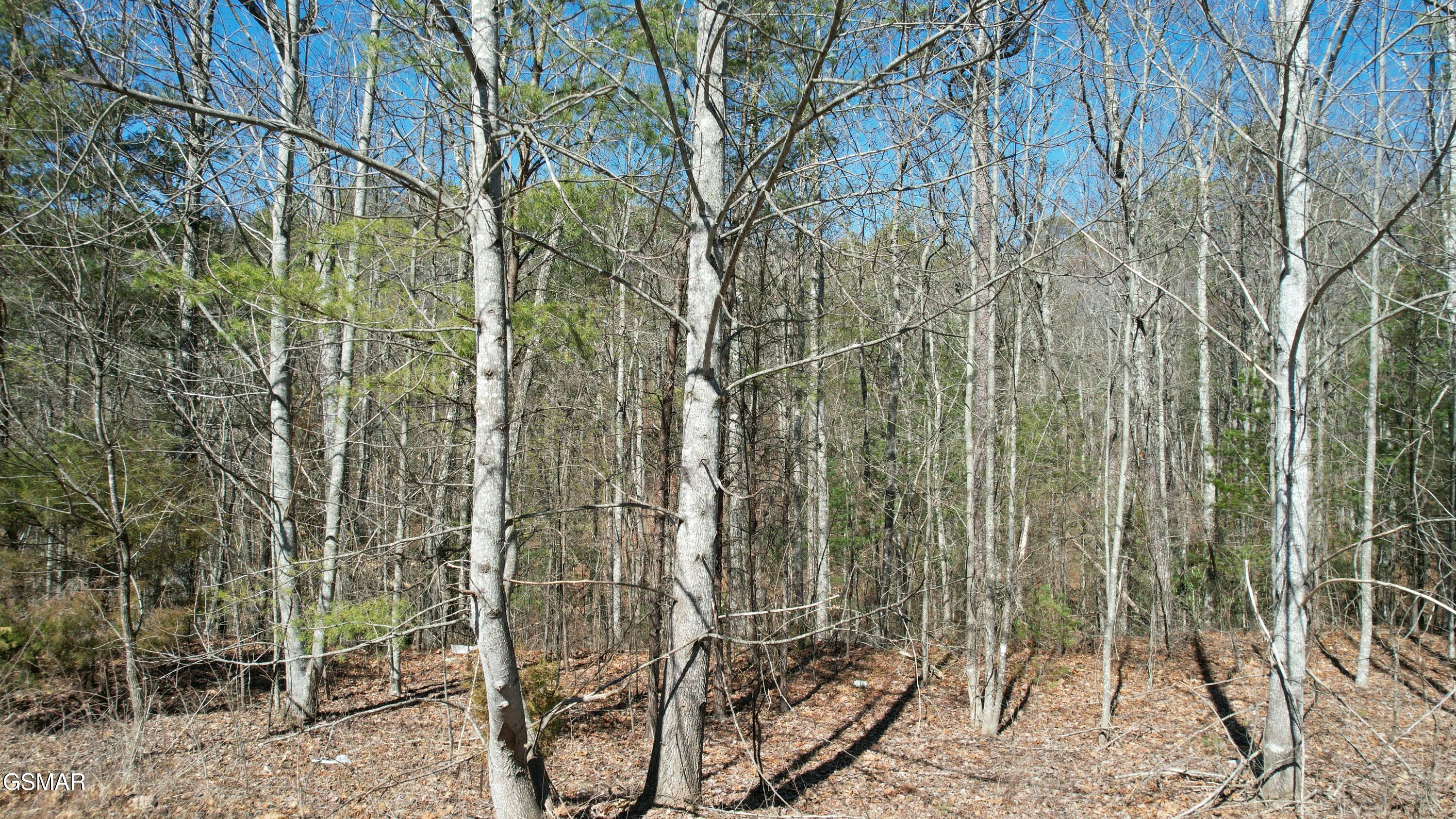 442 Hawken Drive Walland TN 37886