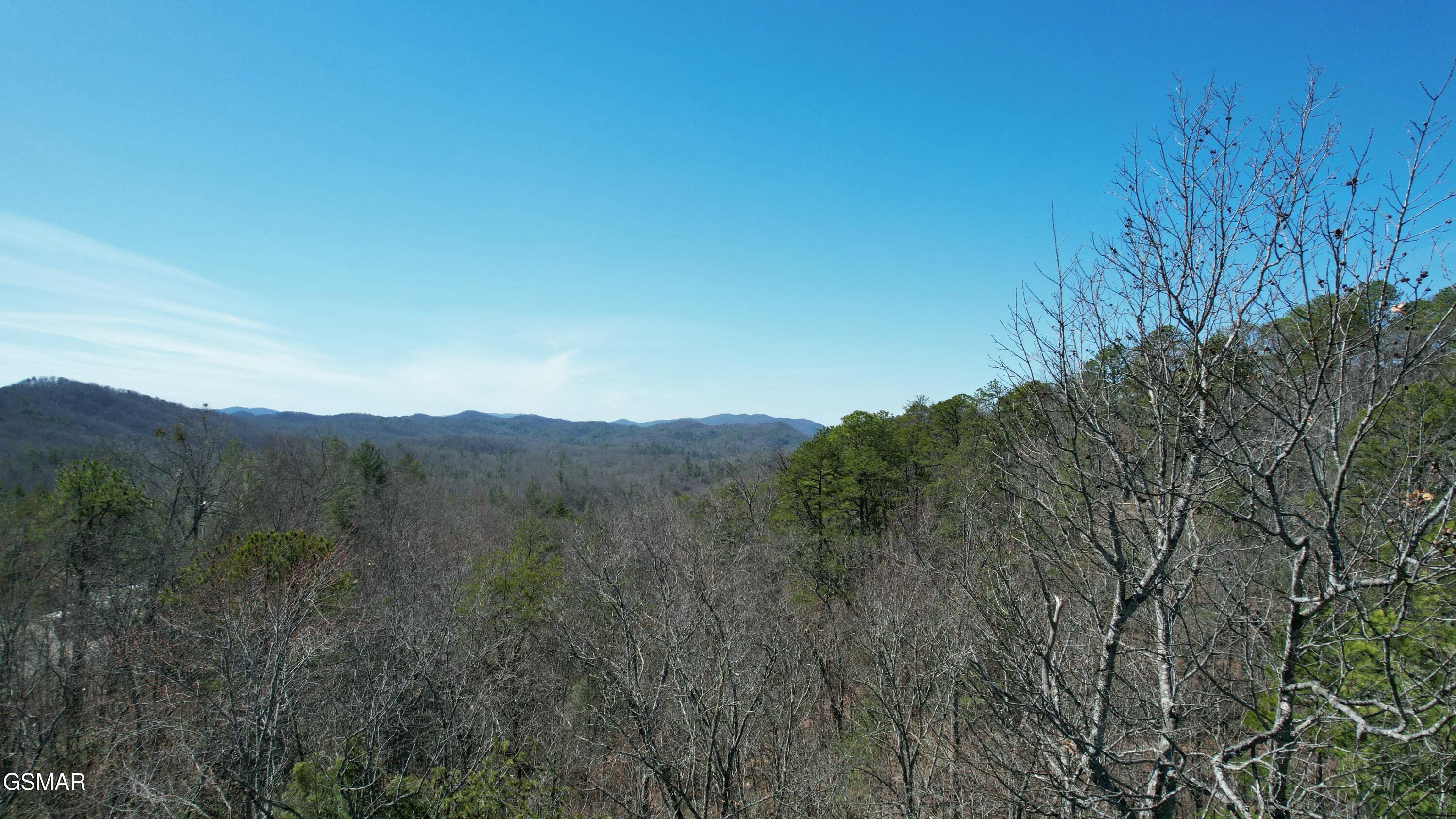 442 Hawken Drive Walland TN 37886
