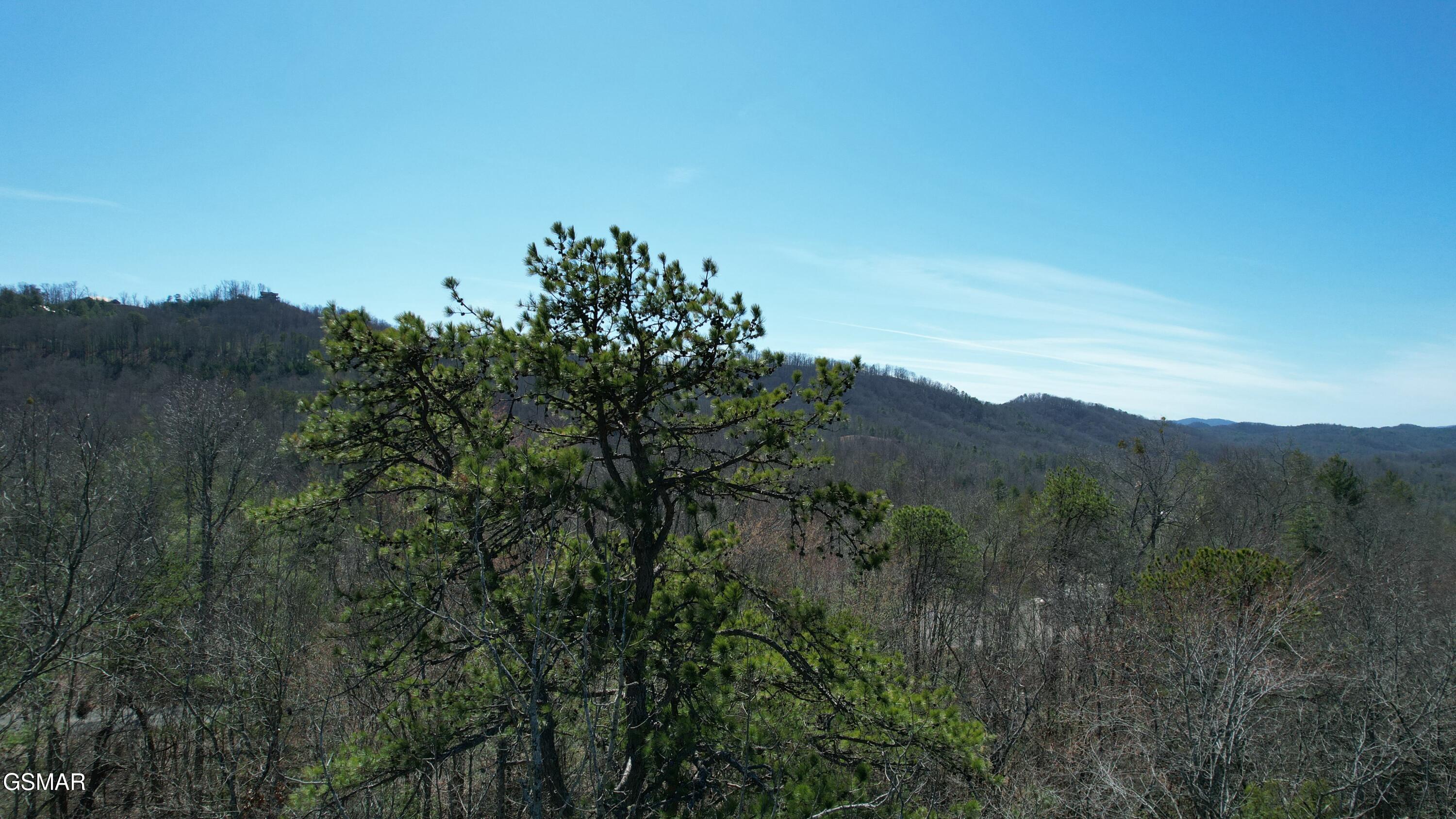 442 Hawken Drive Walland TN 37886