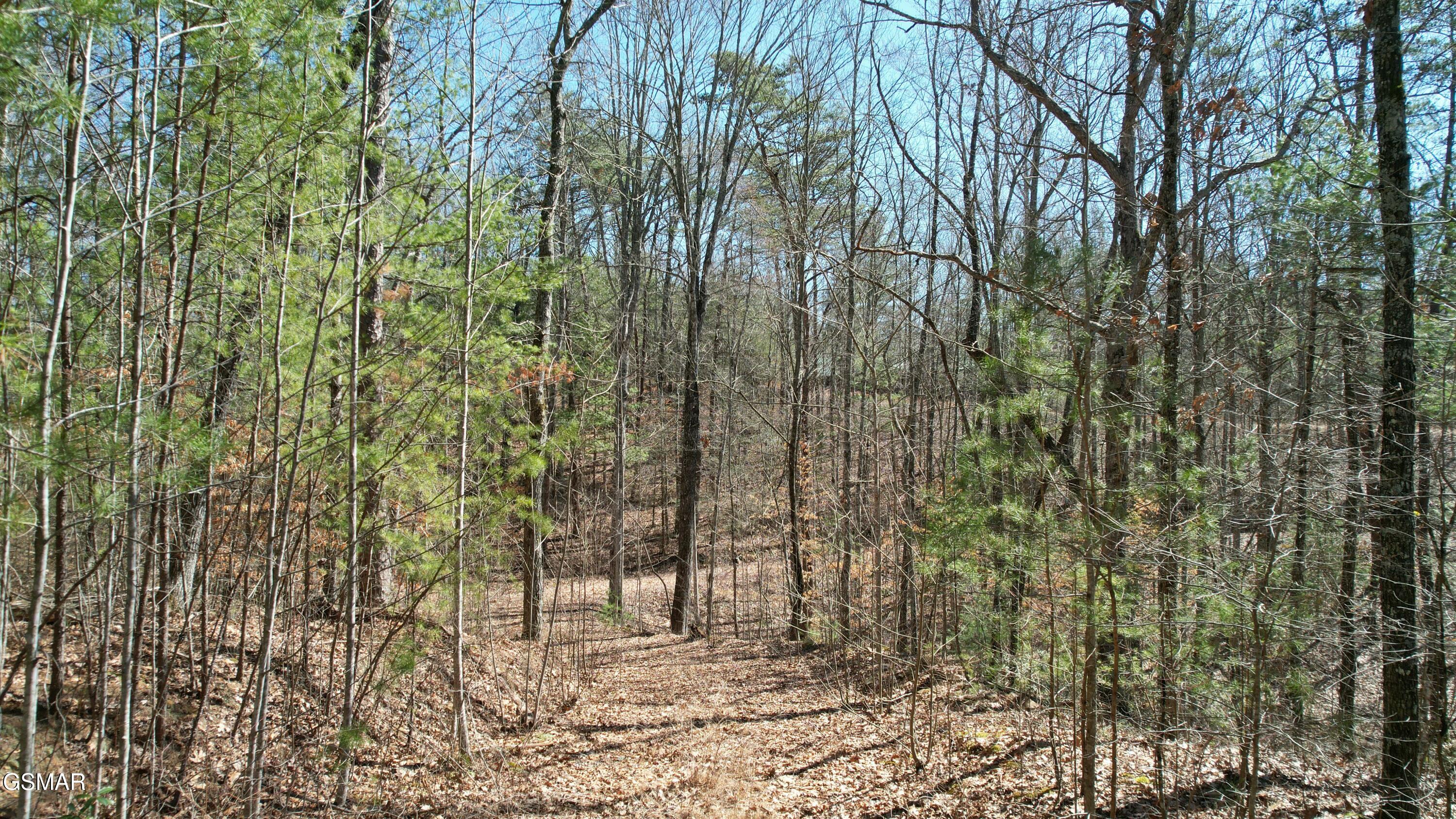 442 Hawken Drive Walland TN 37886