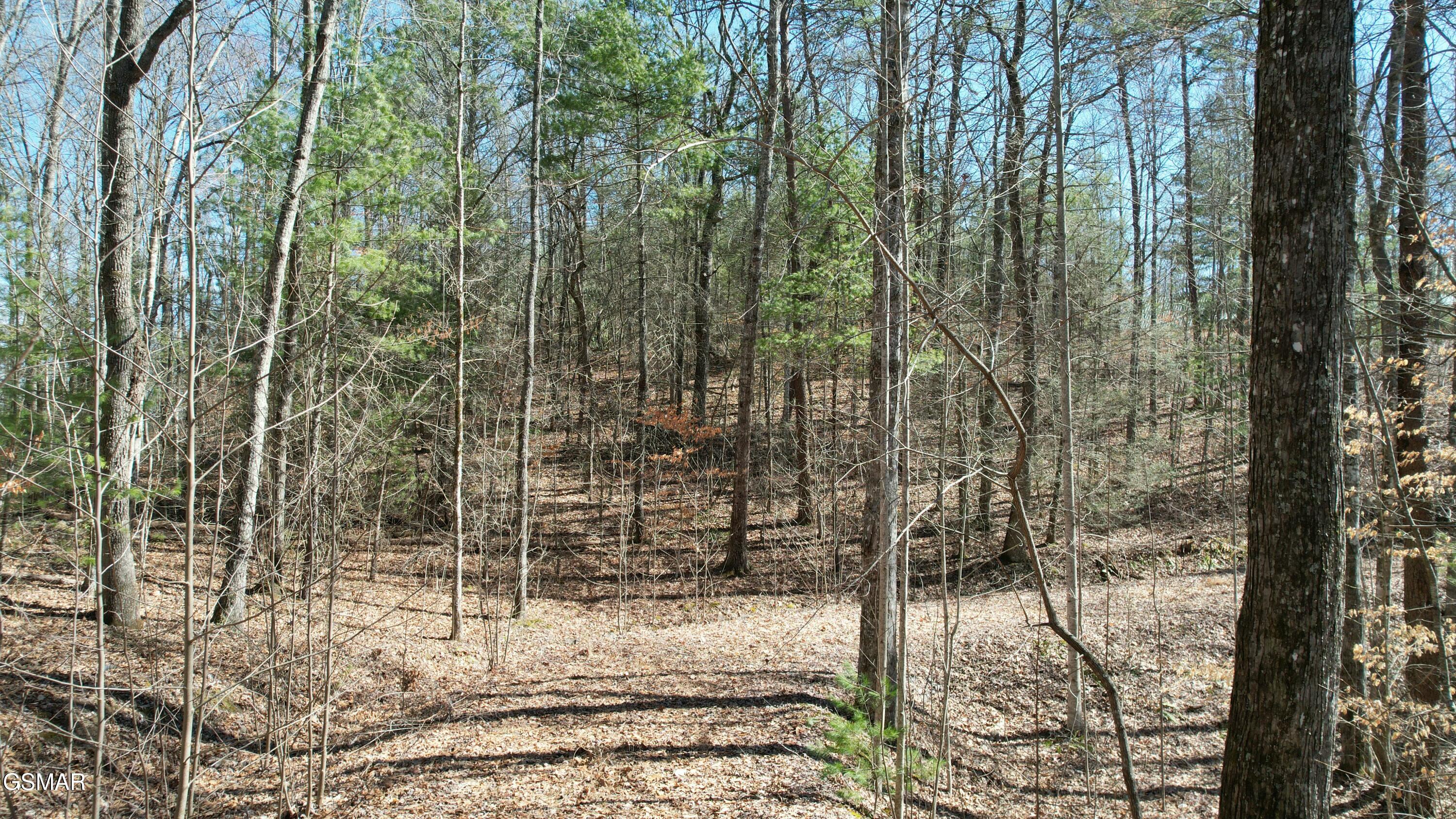 442 Hawken Drive Walland TN 37886
