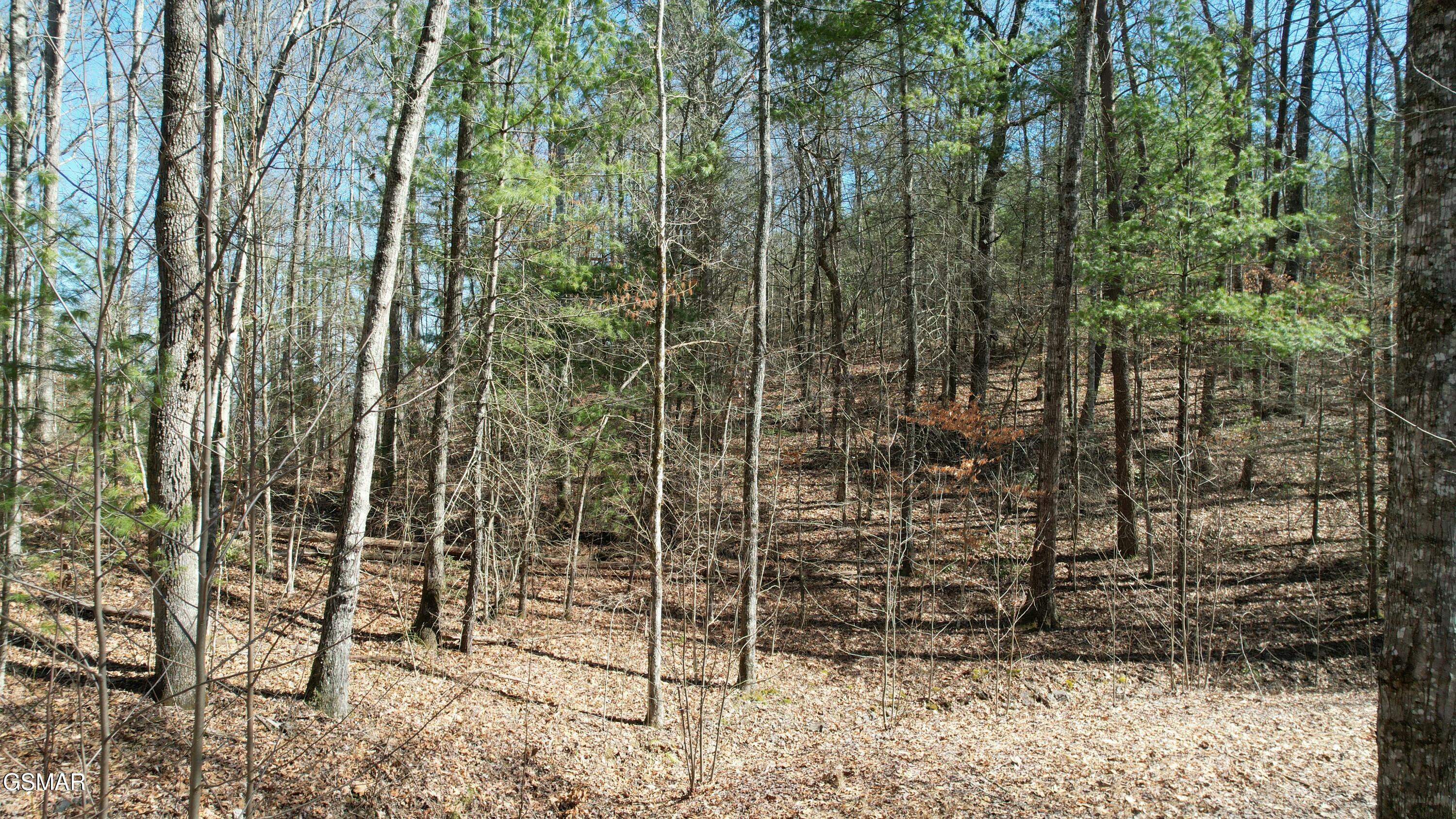 442 Hawken Drive Walland TN 37886