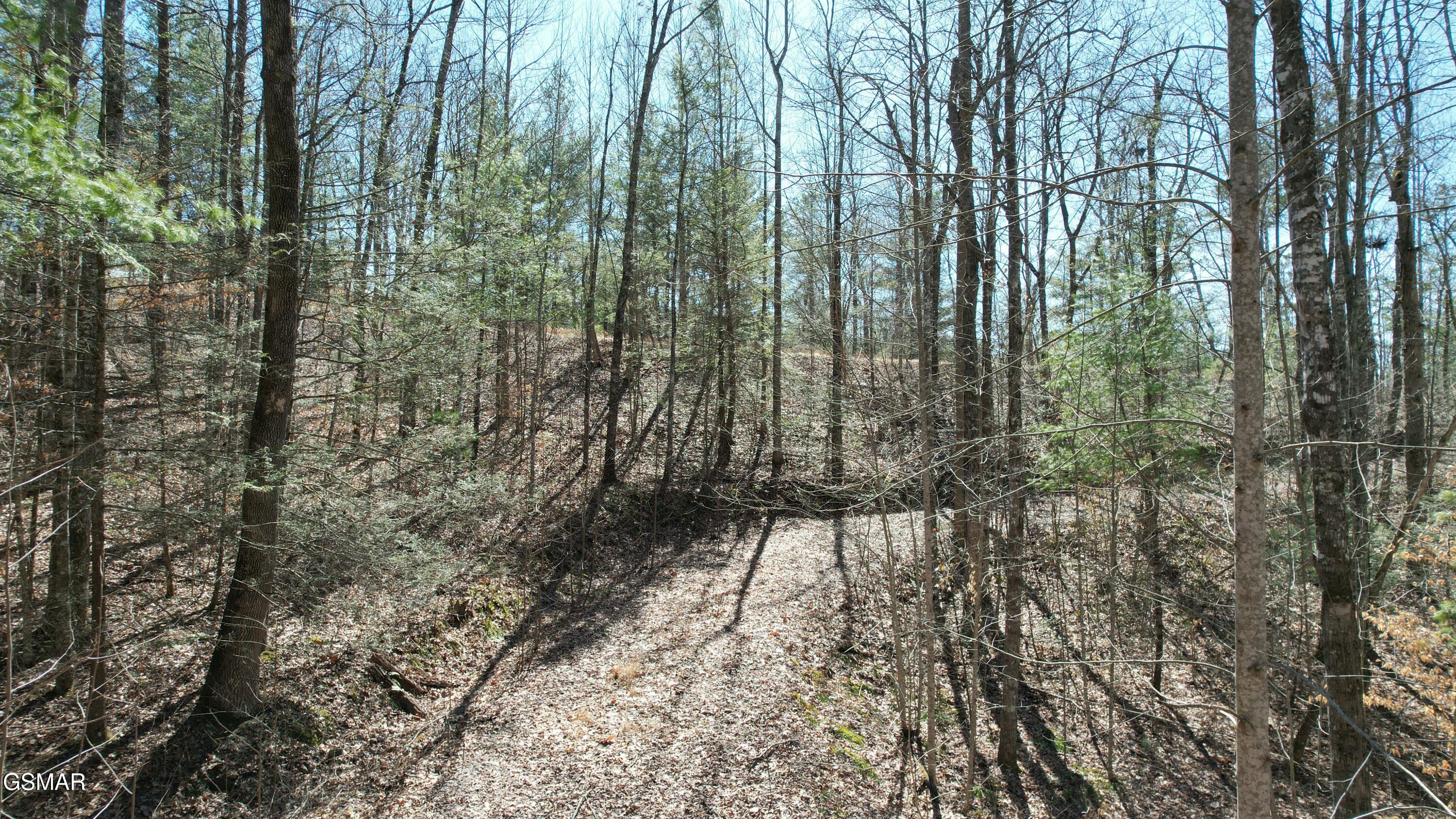 442 Hawken Drive Walland TN 37886