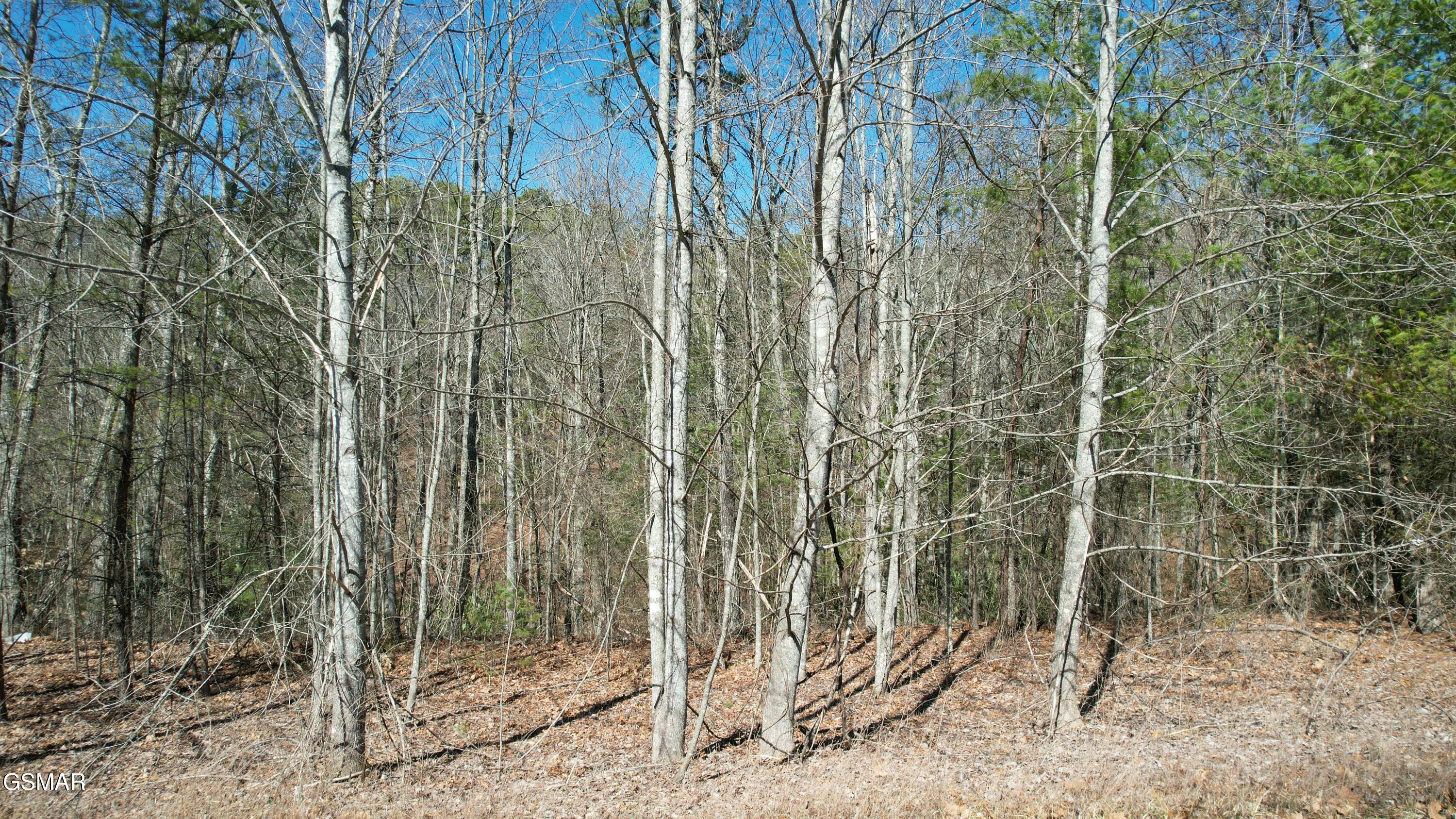 442 Hawken Drive Walland TN 37886