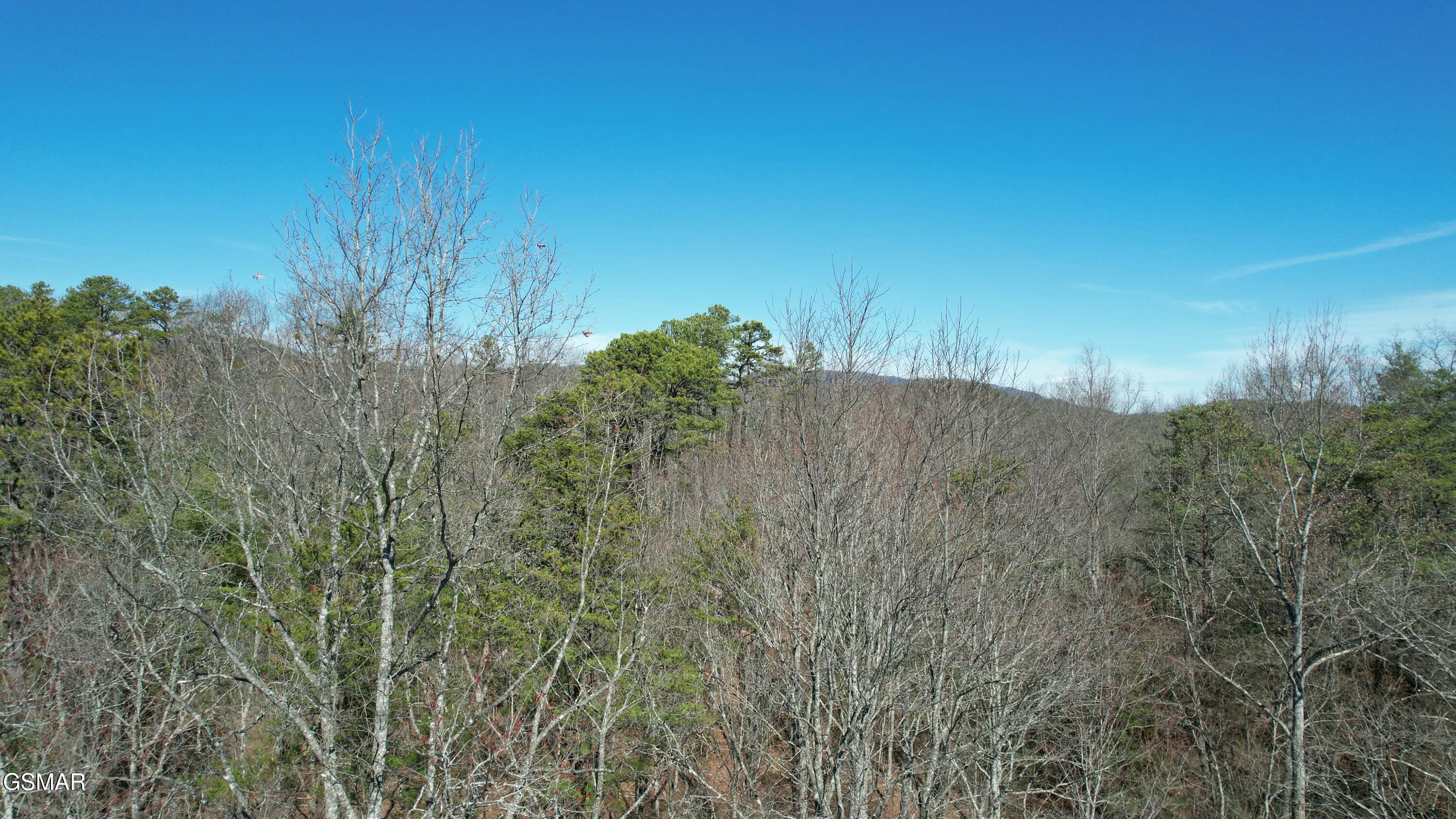442 Hawken Drive Walland TN 37886