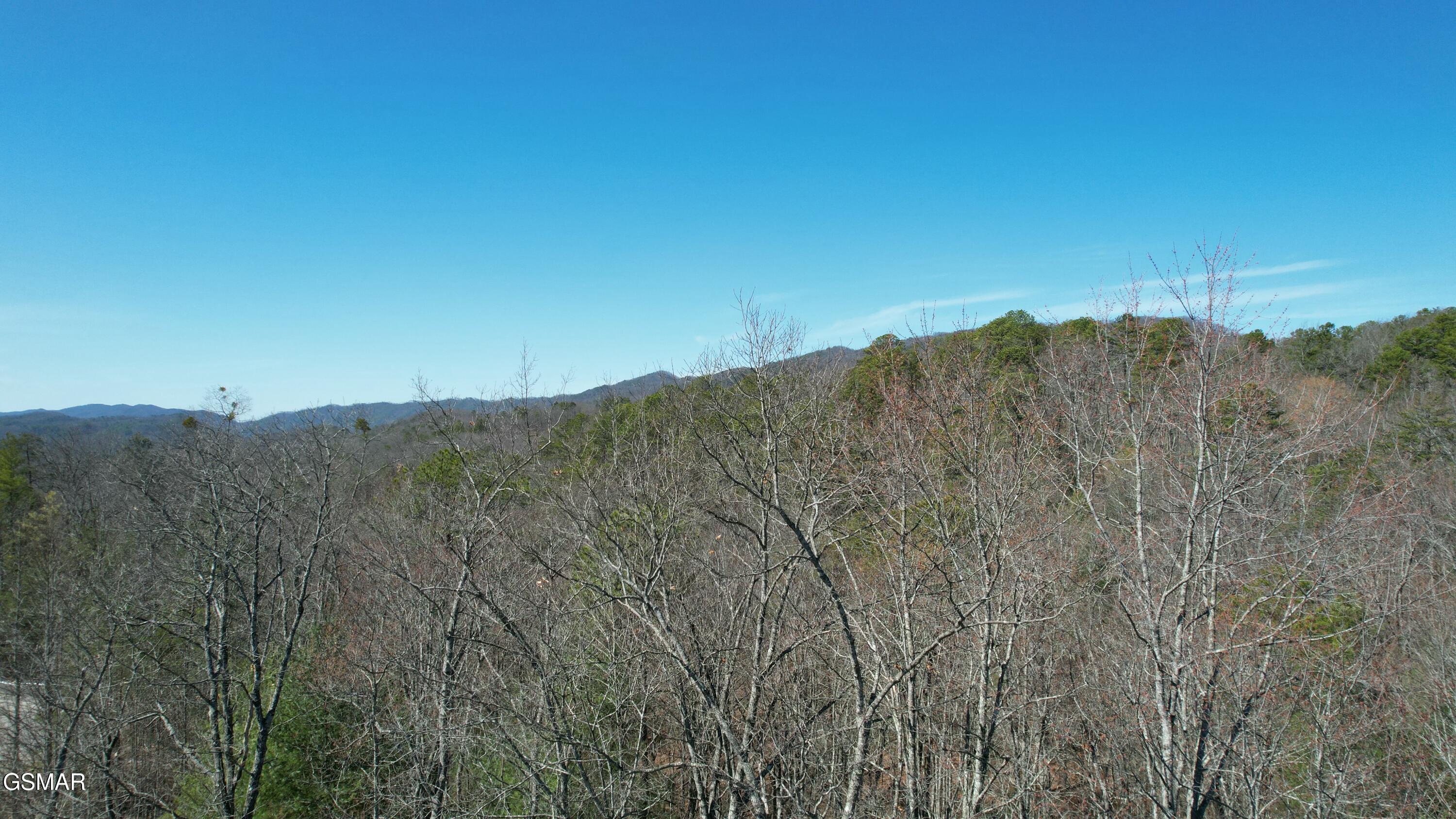 442 Hawken Drive Walland TN 37886
