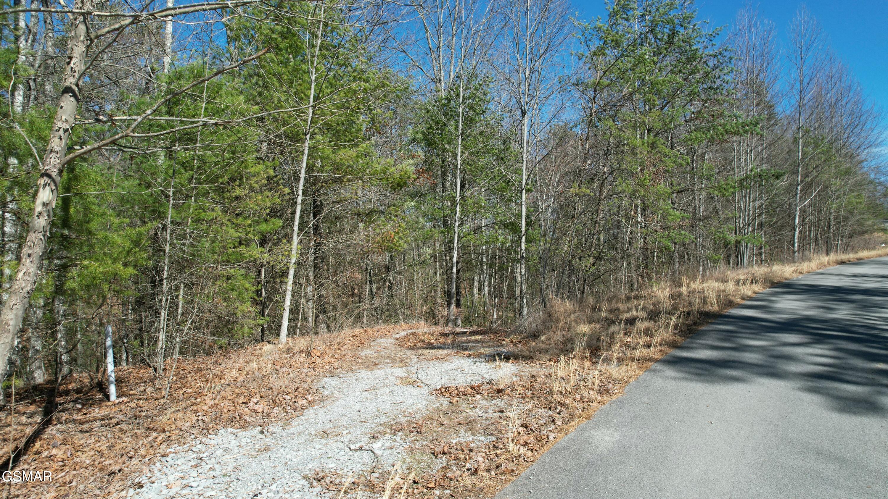 442 Hawken Drive Walland TN 37886