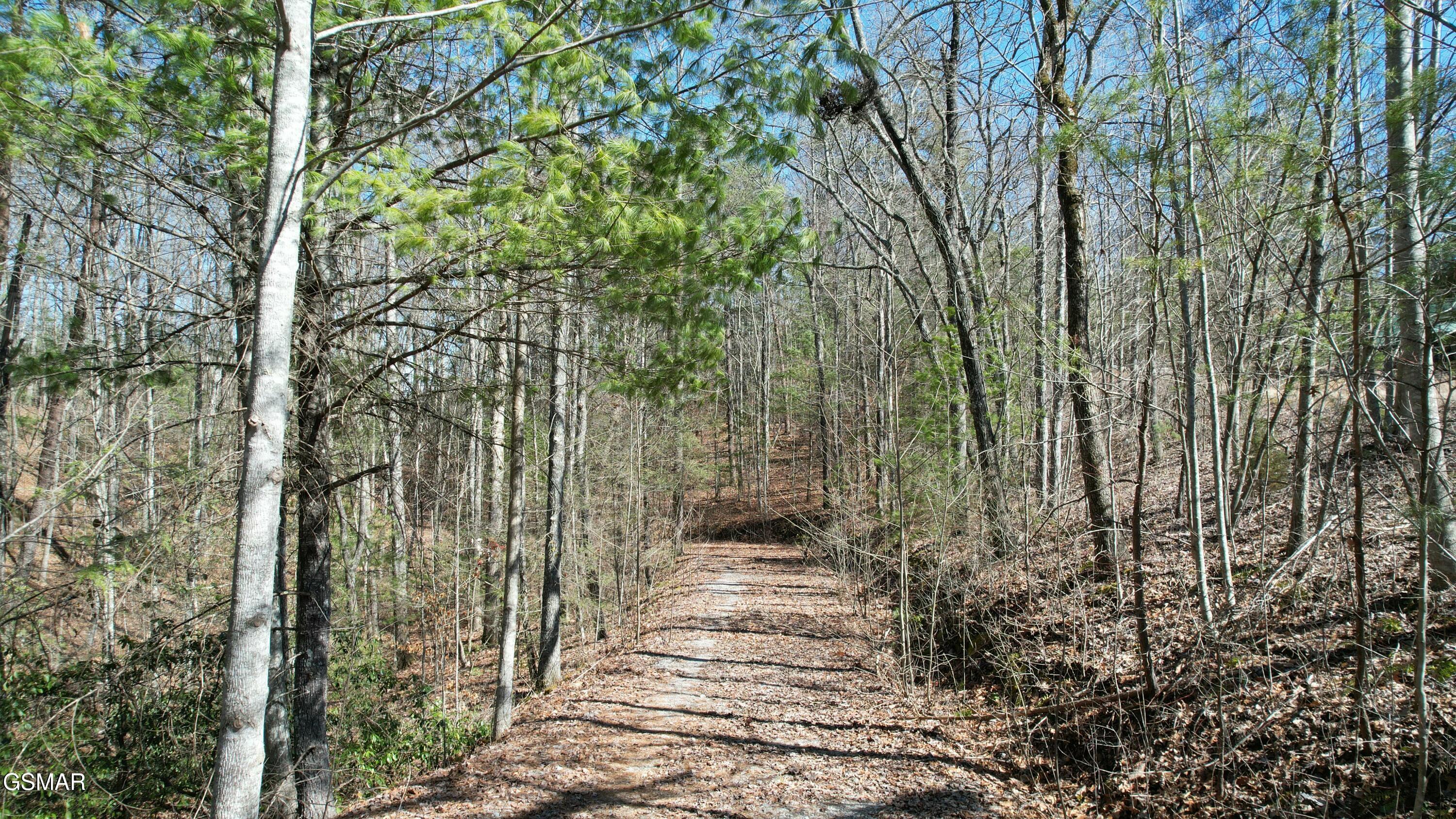 442 Hawken Drive Walland TN 37886