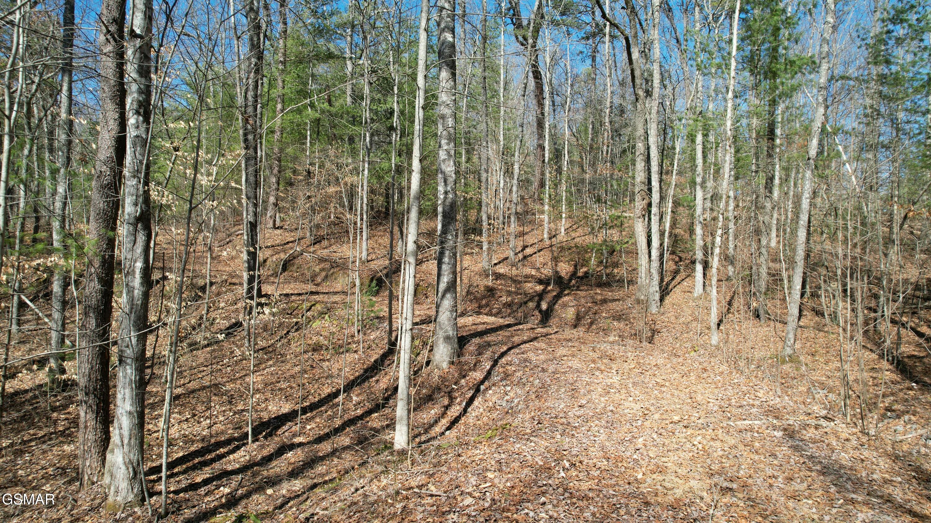 442 Hawken Drive Walland TN 37886