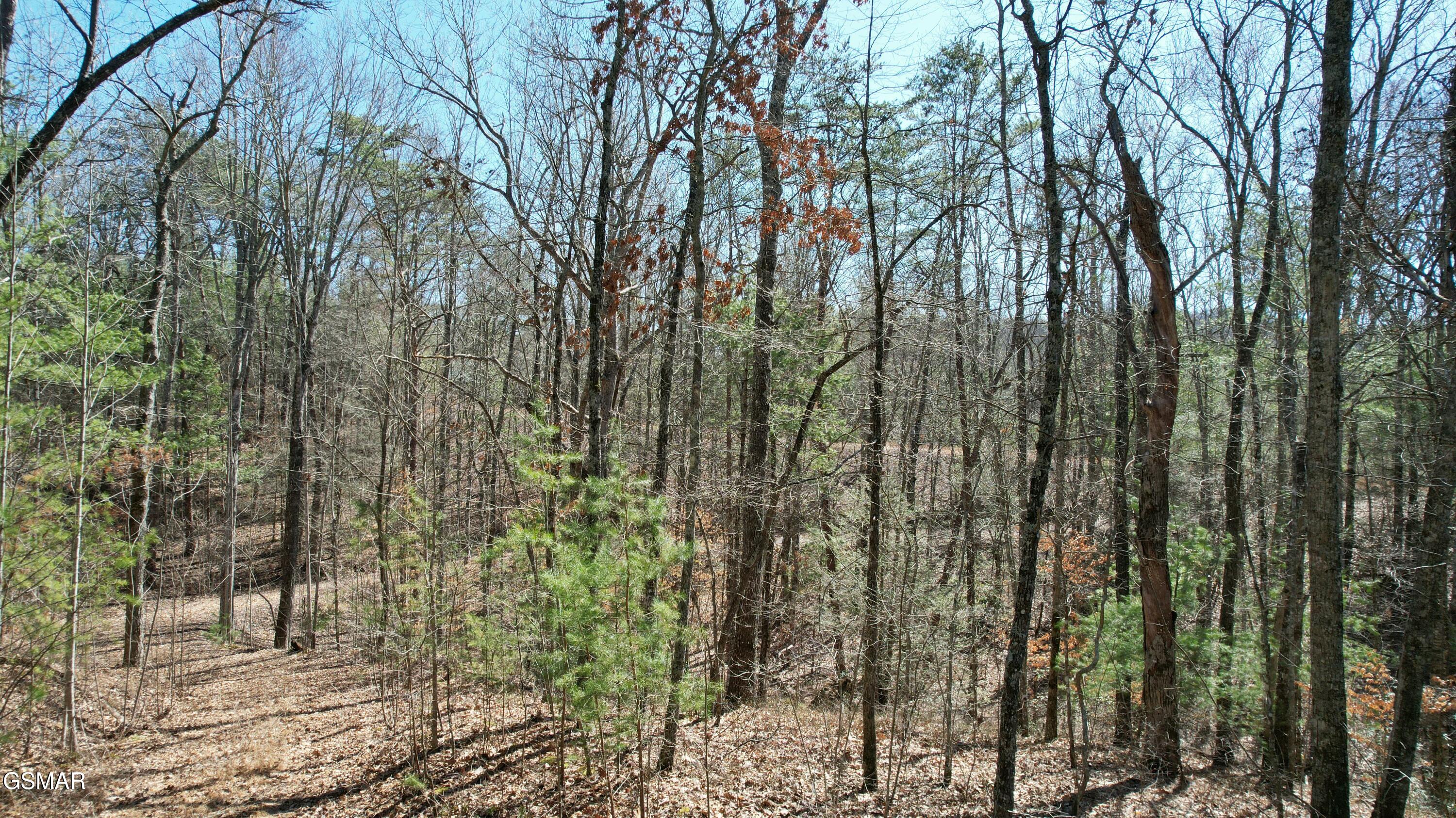 442 Hawken Drive Walland TN 37886