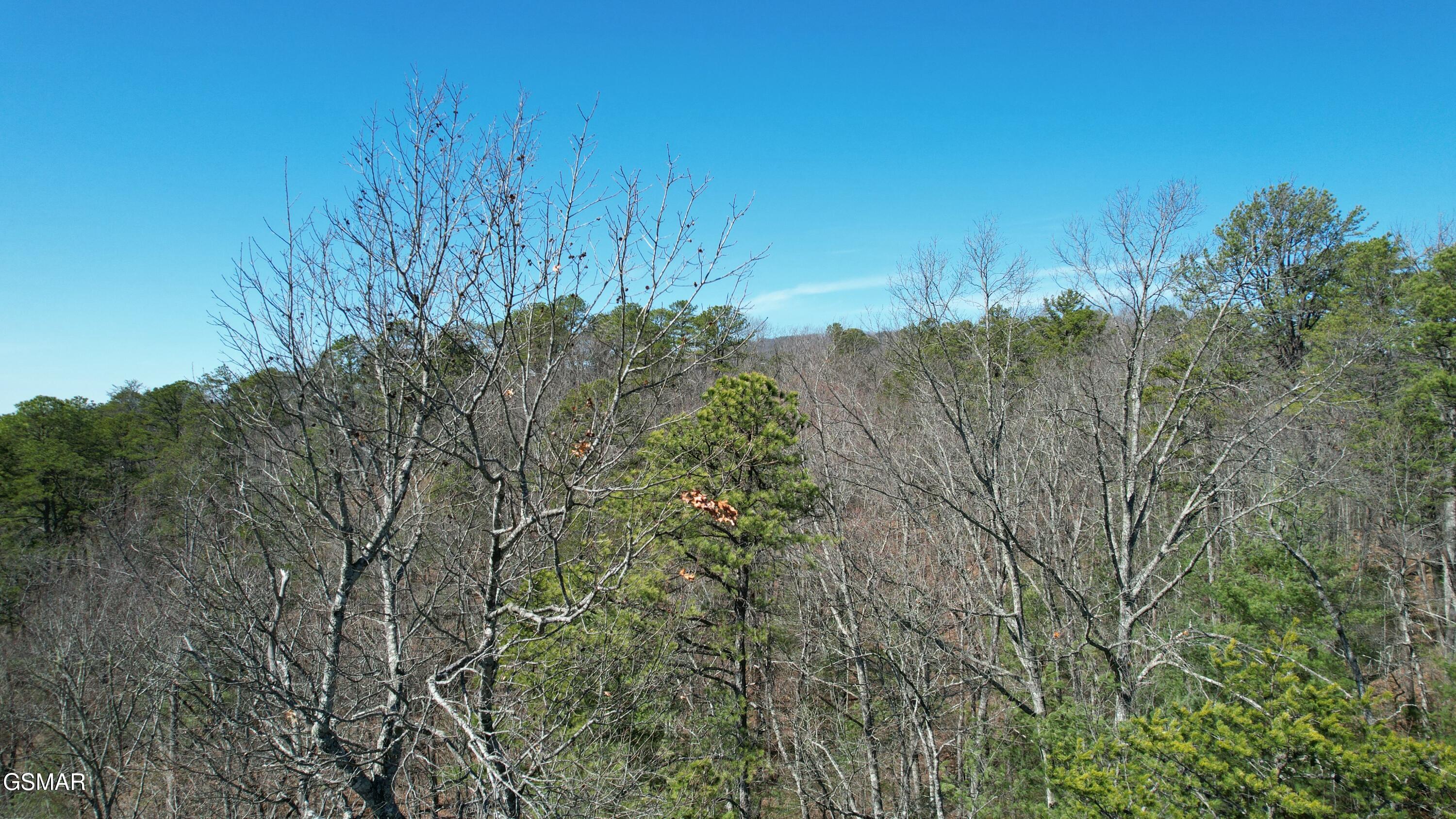 442 Hawken Drive Walland TN 37886