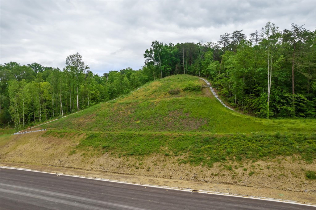 0 Jake Thomas Road Pigeon Forge TN 37863
