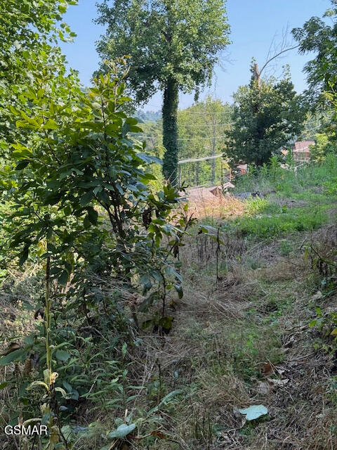 710 Cherokee Orchard Road Gatlinburg TN 37738