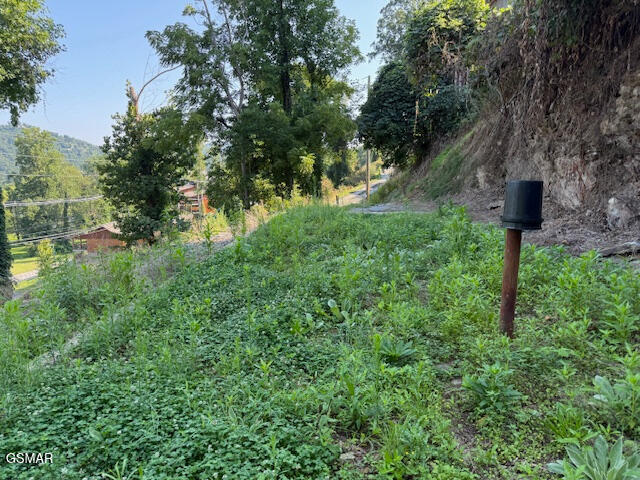 710 Cherokee Orchard Road Gatlinburg TN 37738