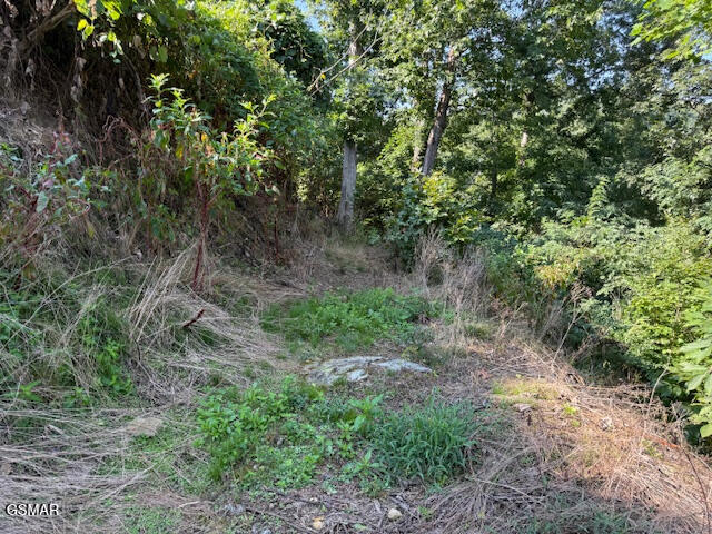 710 Cherokee Orchard Road Gatlinburg TN 37738