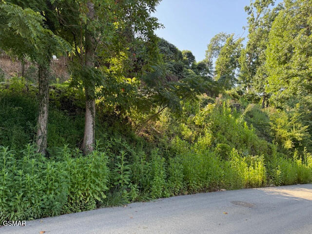 710 Cherokee Orchard Road Gatlinburg TN 37738
