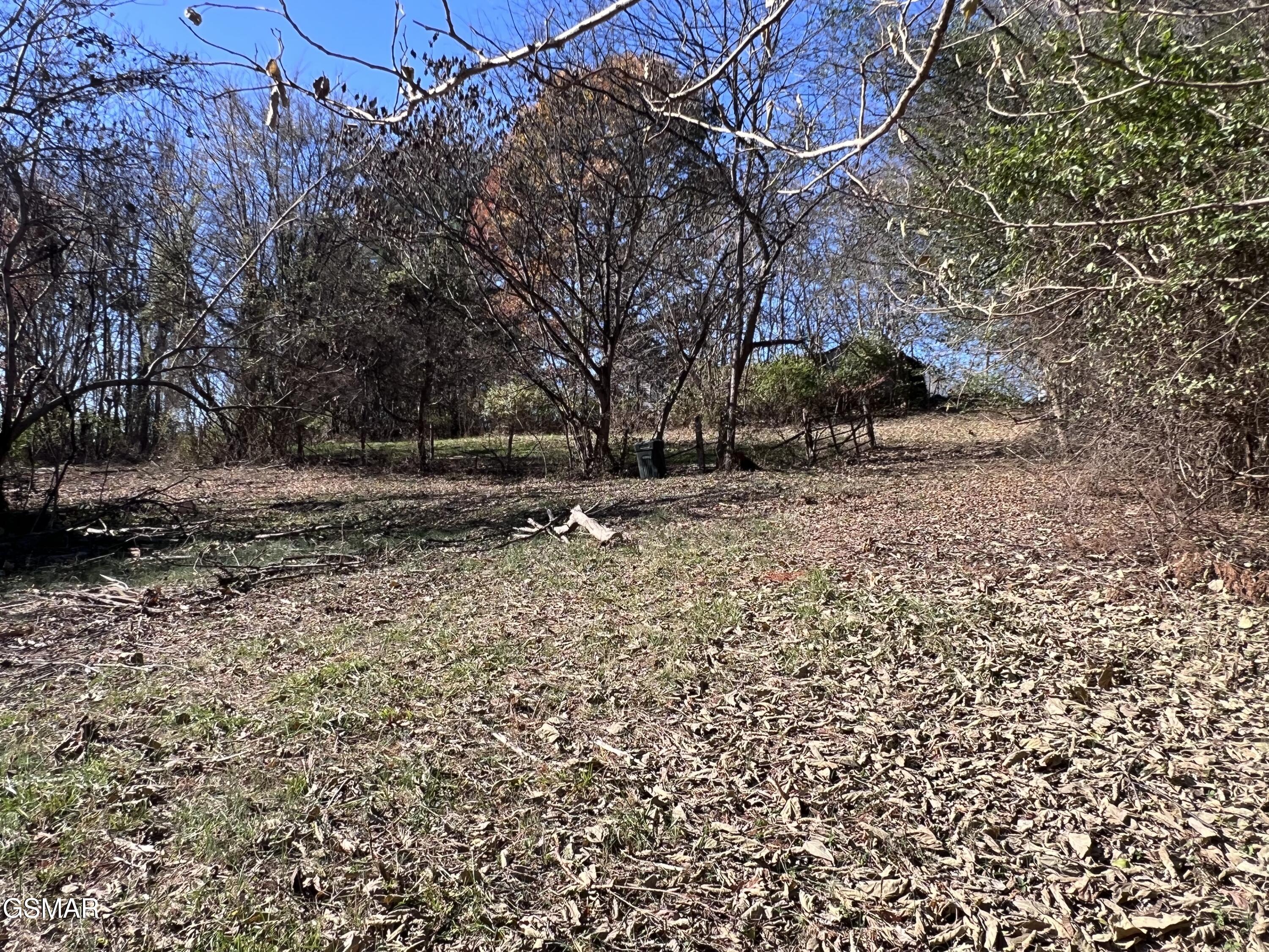 Off Jefferson Street White Pine TN 37890
