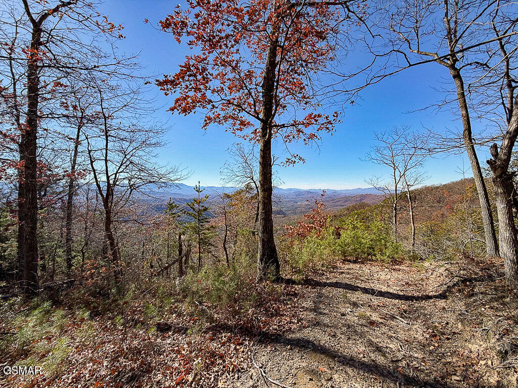 Tract A Mountain Ash Way Sevierville TN 37876