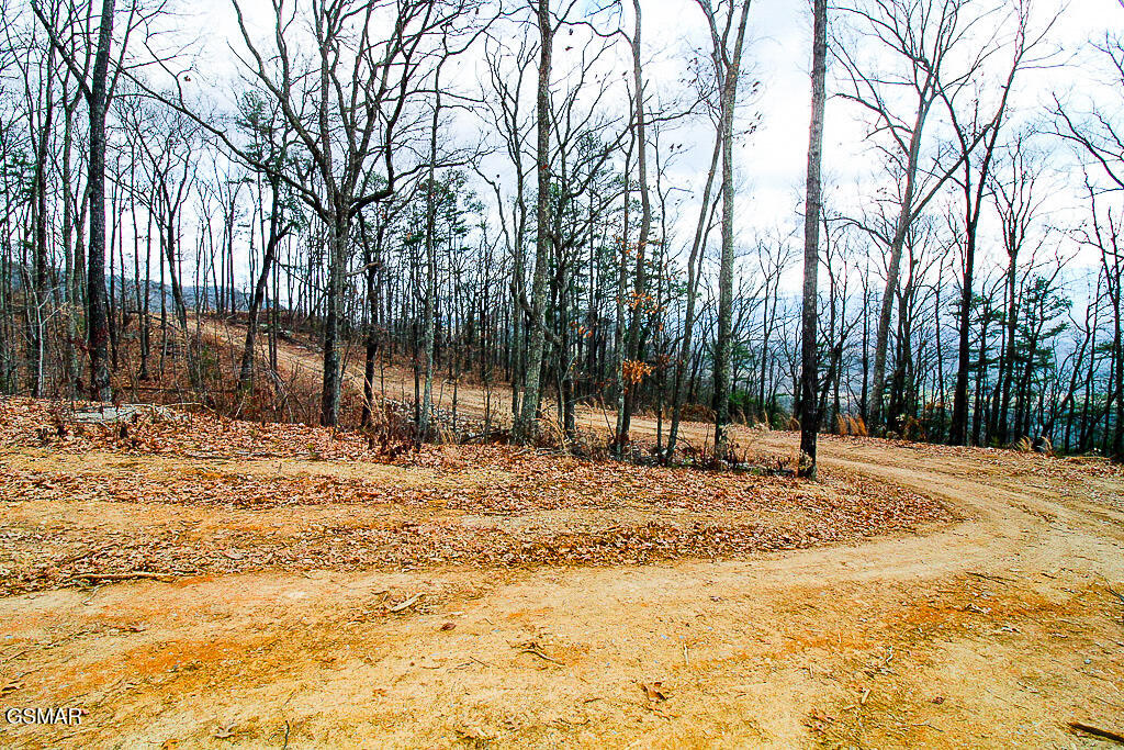 Tract A Mountain Ash Way Sevierville TN 37876
