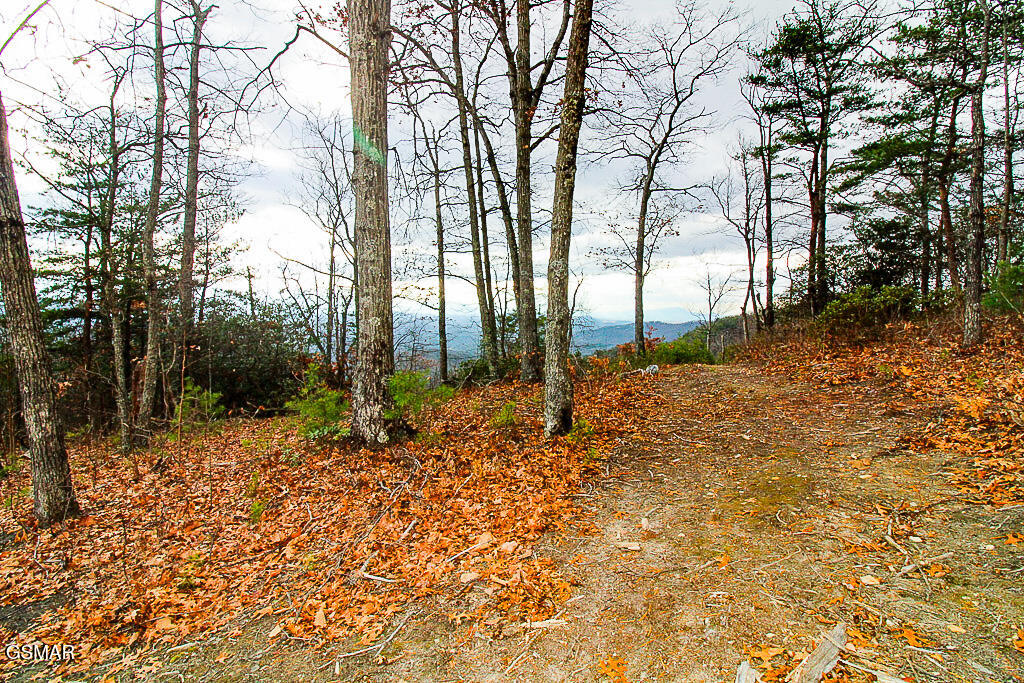 Tract A Mountain Ash Way Sevierville TN 37876