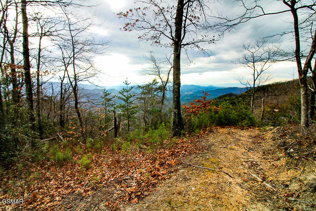 Tract A Mountain Ash Way Sevierville TN 37876
