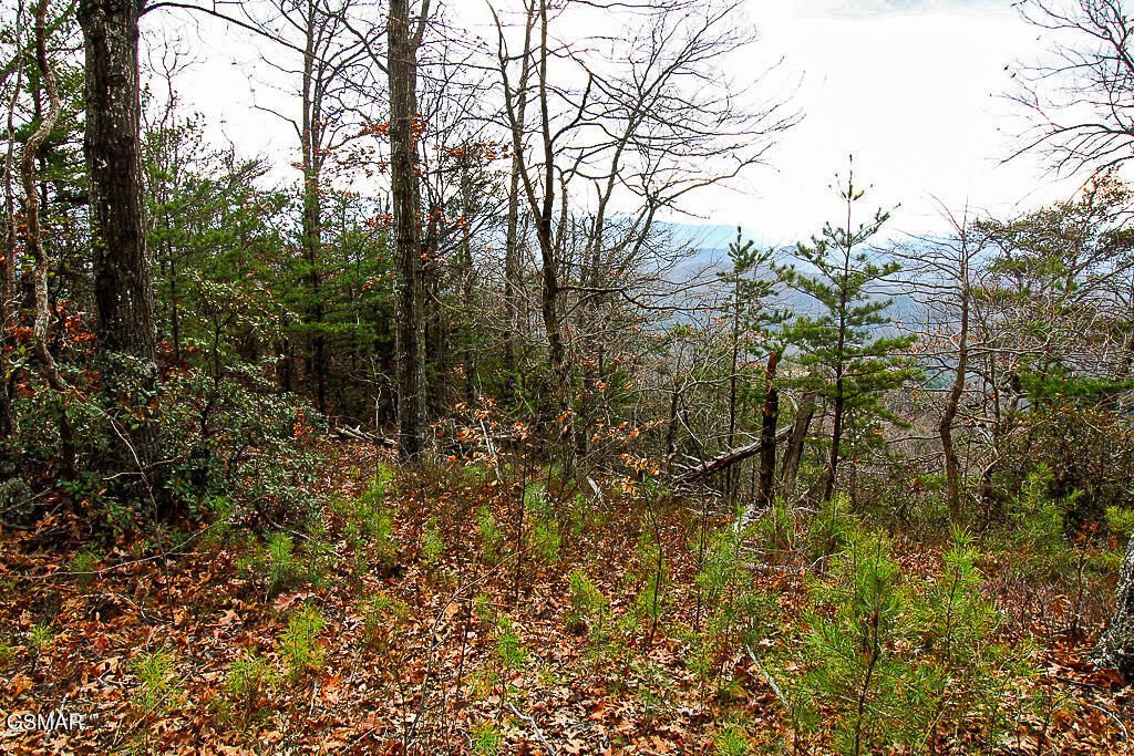Tract A Mountain Ash Way Sevierville TN 37876