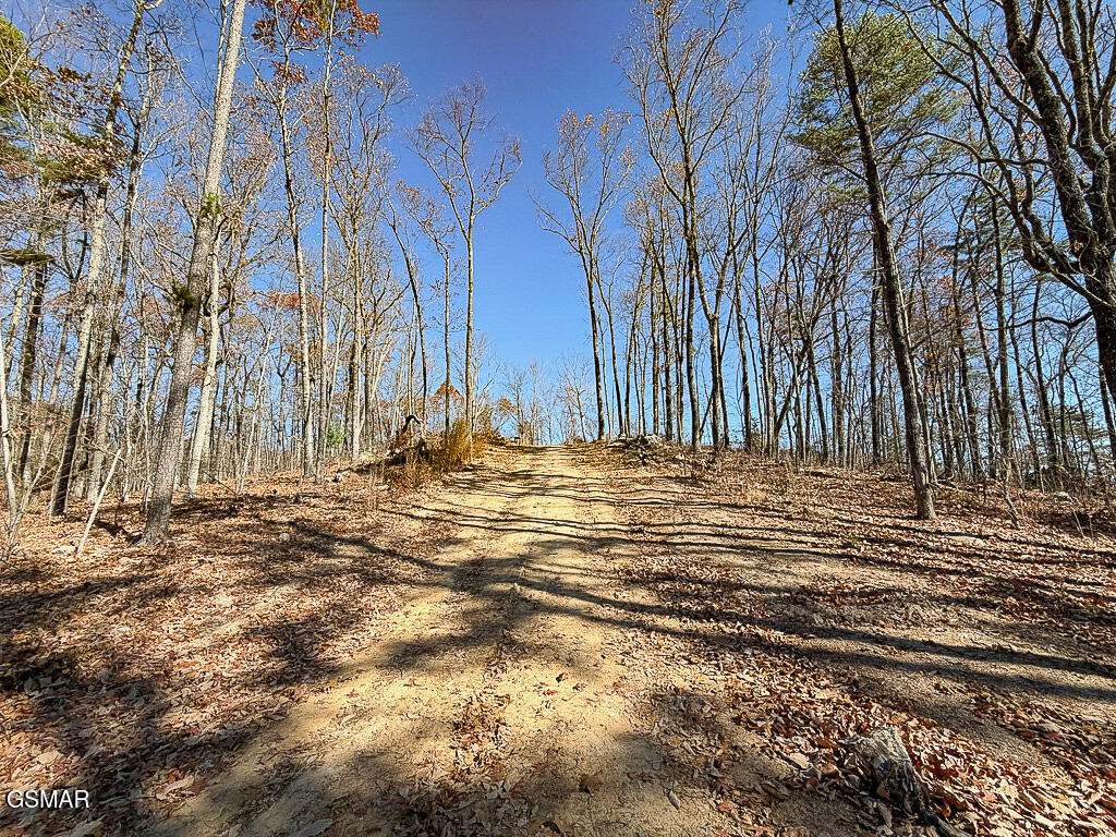 Tract A Mountain Ash Way Sevierville TN 37876