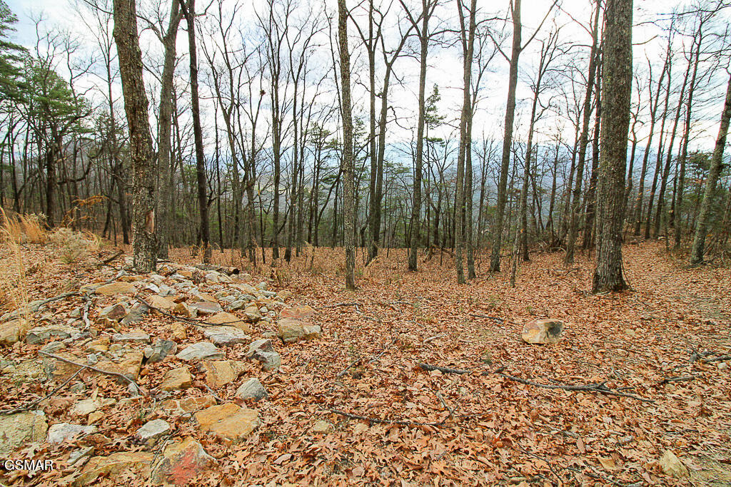 Tract A Mountain Ash Way Sevierville TN 37876