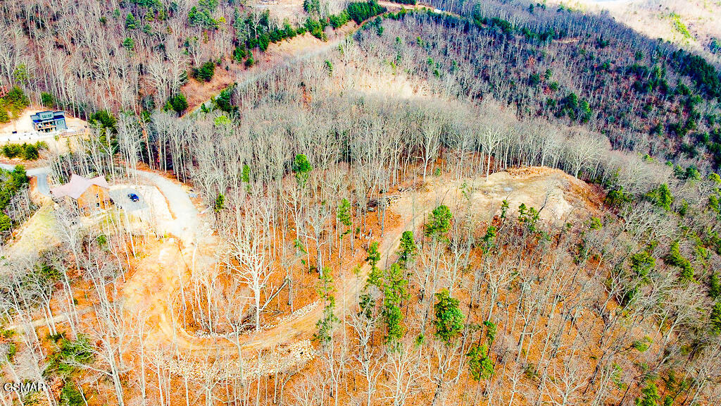 Tract A Mountain Ash Way Sevierville TN 37876