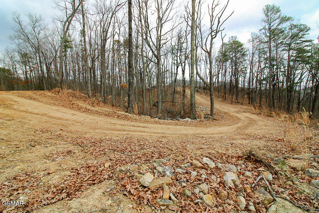 Tract A Mountain Ash Way Sevierville TN 37876