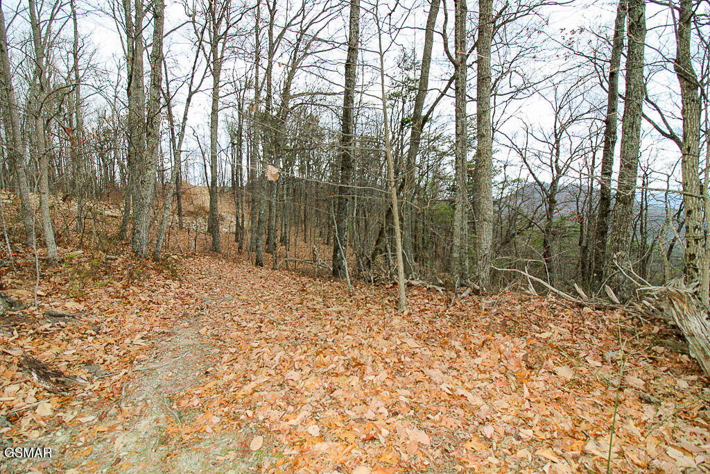 Tract A Mountain Ash Way Sevierville TN 37876