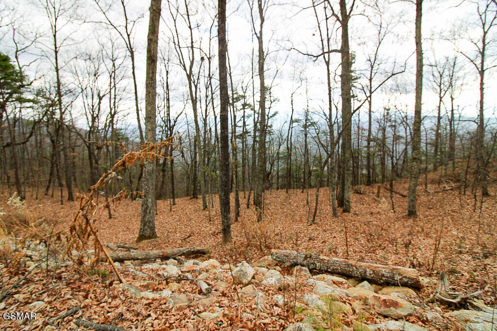 Tract A Mountain Ash Way Sevierville TN 37876