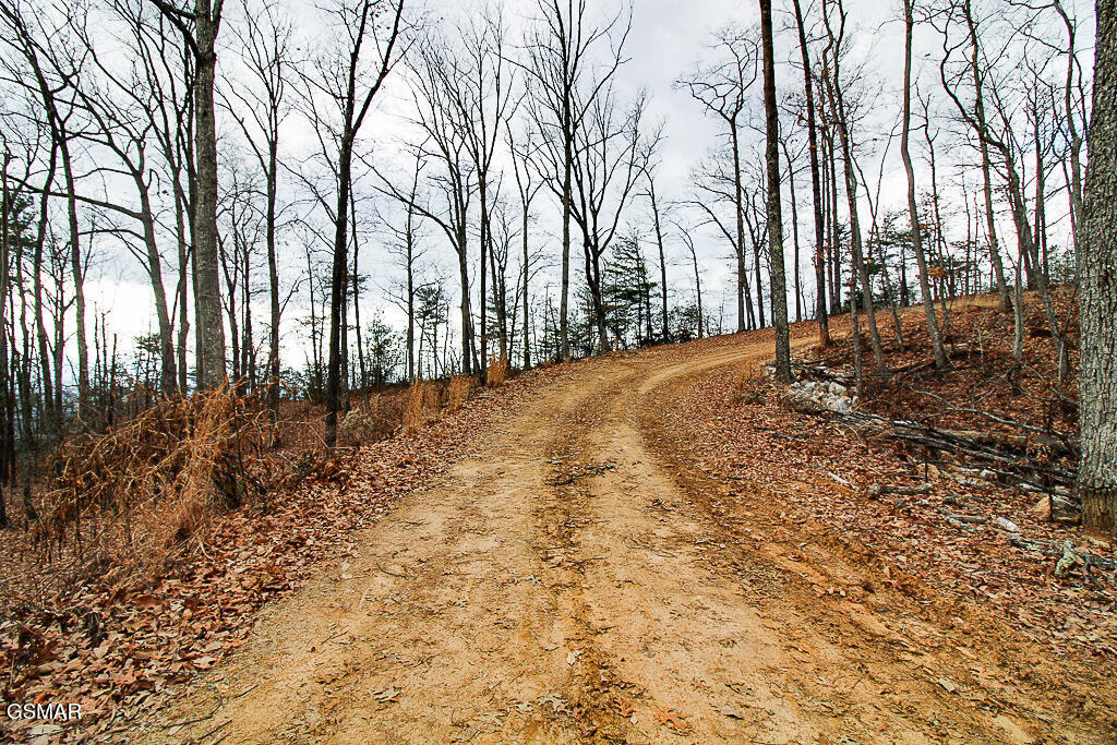 Tract A Mountain Ash Way Sevierville TN 37876