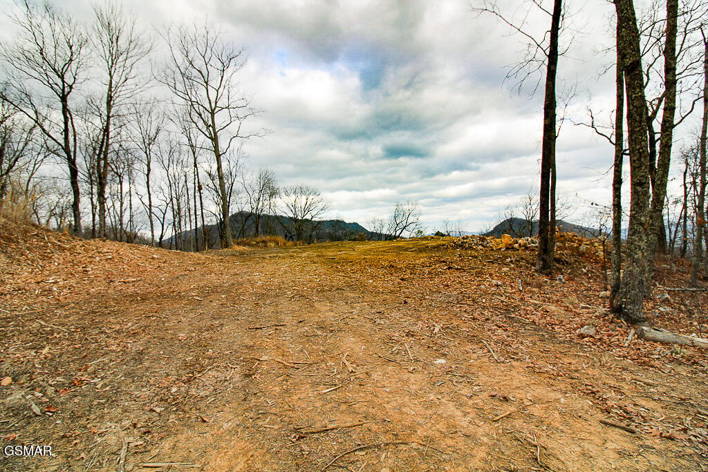 Tract A Mountain Ash Way Sevierville TN 37876