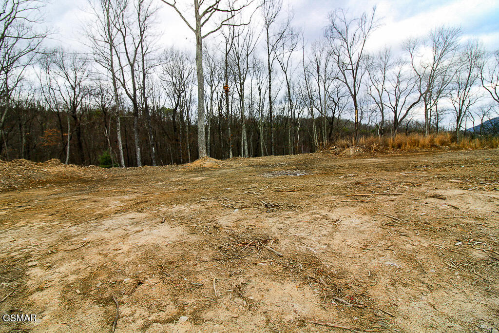 Tract A Mountain Ash Way Sevierville TN 37876