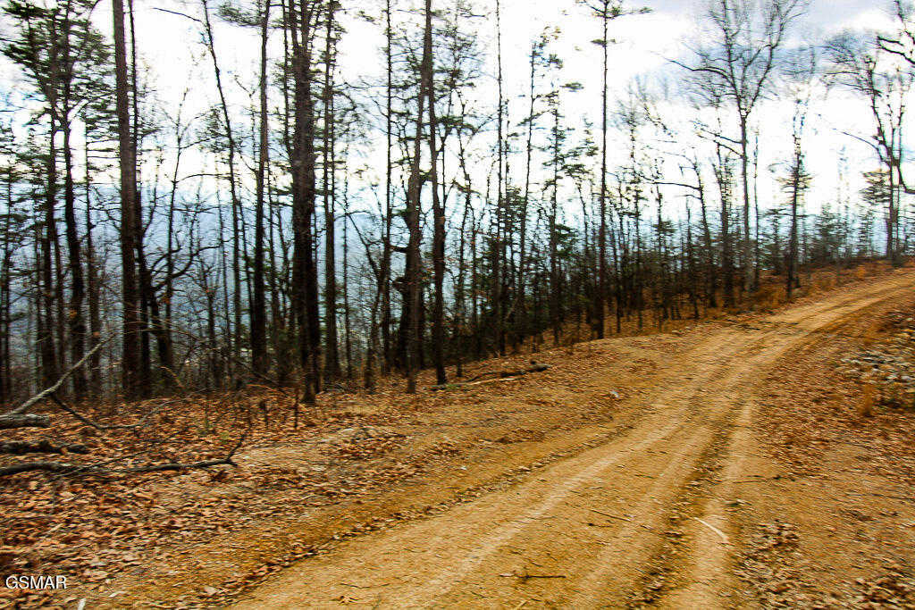 Tract A Mountain Ash Way Sevierville TN 37876
