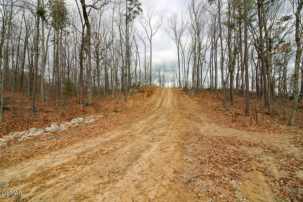 Tract A Mountain Ash Way Sevierville TN 37876