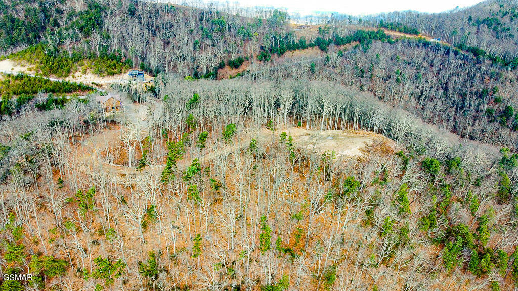 Tract A Mountain Ash Way Sevierville TN 37876