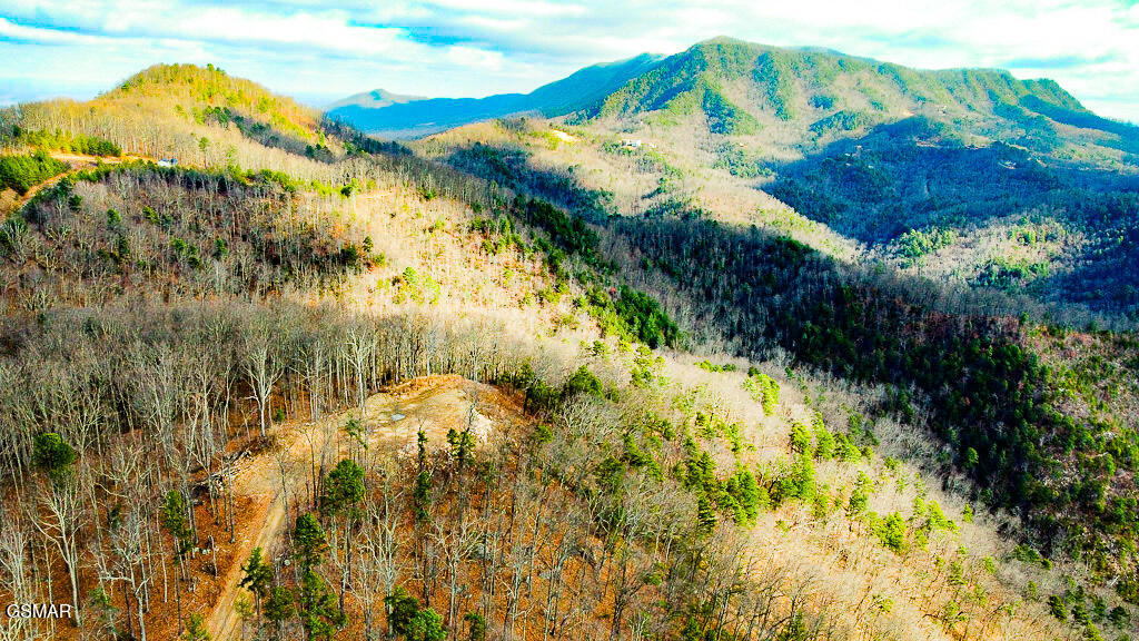 Tract A Mountain Ash Way Sevierville TN 37876