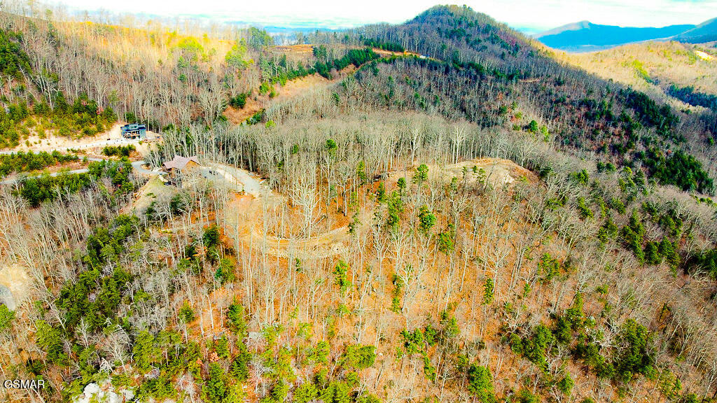Tract A Mountain Ash Way Sevierville TN 37876