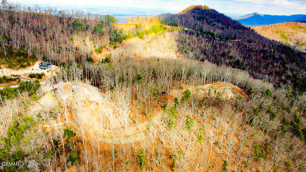 Tract A Mountain Ash Way Sevierville TN 37876