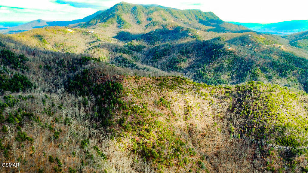 Tract A Mountain Ash Way Sevierville TN 37876