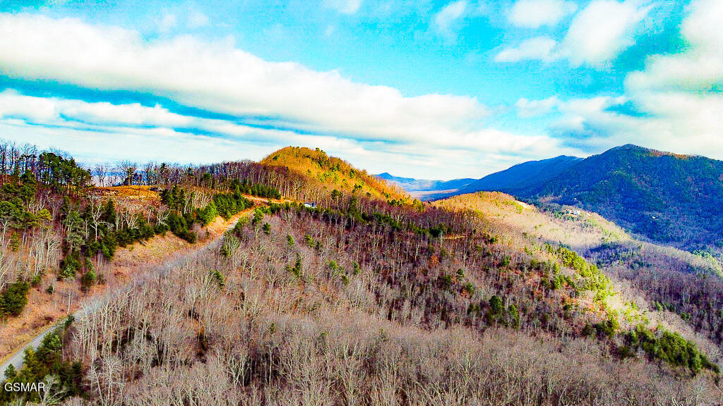 Tract A Mountain Ash Way Sevierville TN 37876