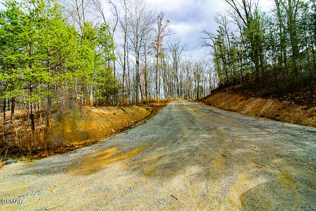 Tract A Mountain Ash Way Sevierville TN 37876
